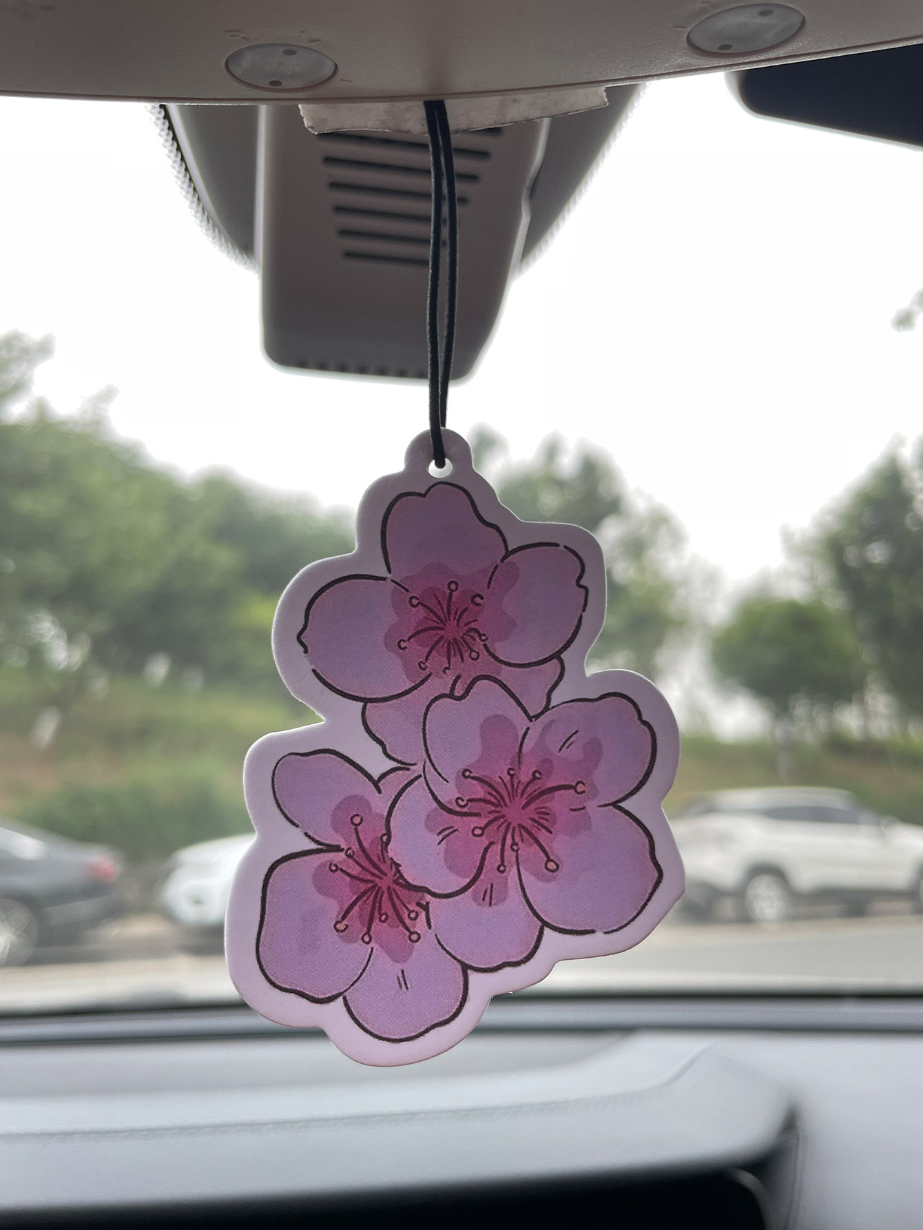 Bathroom Home Essentials Store - Sakura/Frezya Taze Kokulu Beş Yıldızlı Nötr