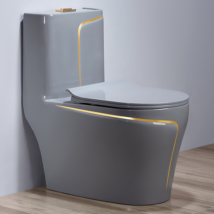 Gri Seramik Tek Parça Bide Tuv - Home Bathroom Ware incelemesi ve fiyatı