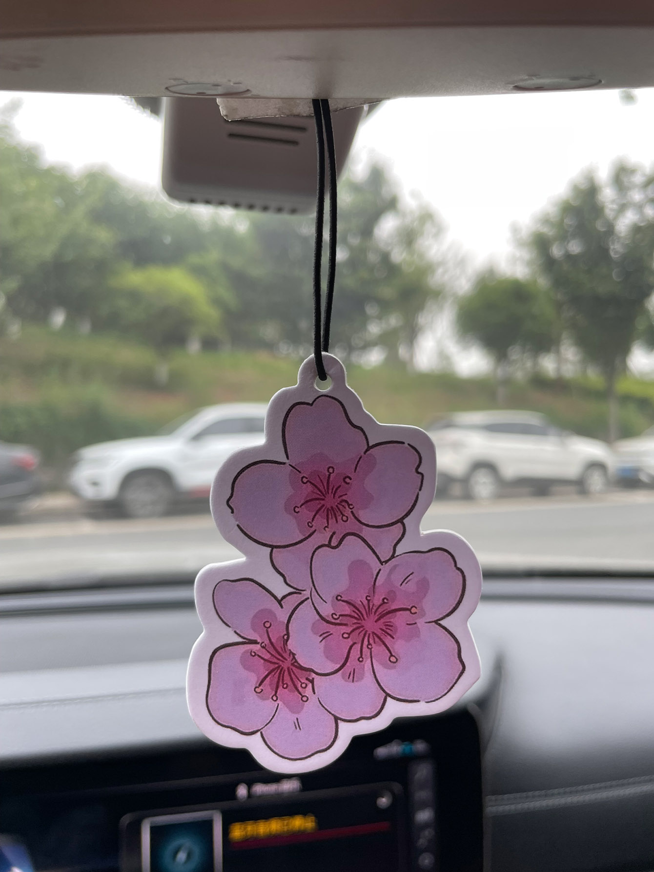 Sakura/Frezya Taze Kokulu Beş  - Bathroom Home Essentials Store incelemesi ve fiyatı