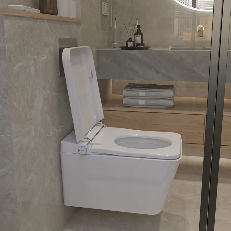 Duvara Monte Akıllı Tuvalet Uy - Home Bathroom Ware incelemesi ve fiyatı